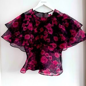 Stunning TopShop Sheer Blouse